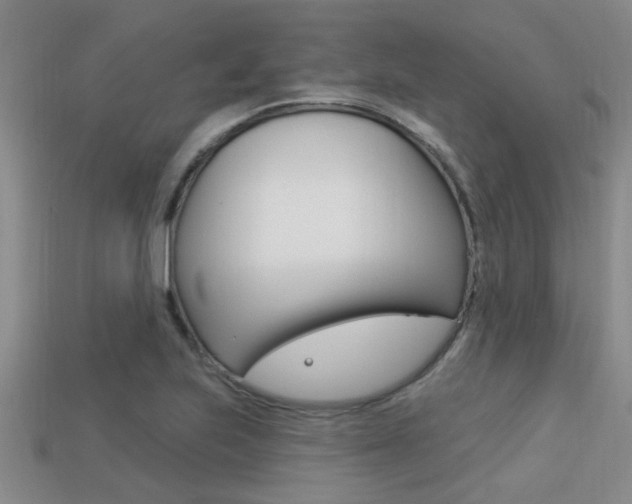 X0000113301223200909140938