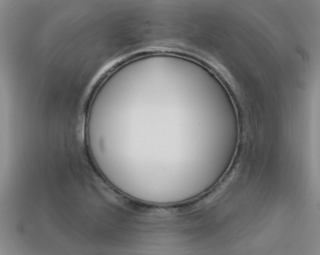 X0000113301224200909140938