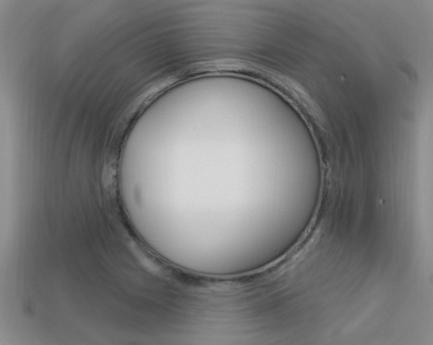 X0000113301225200909140938