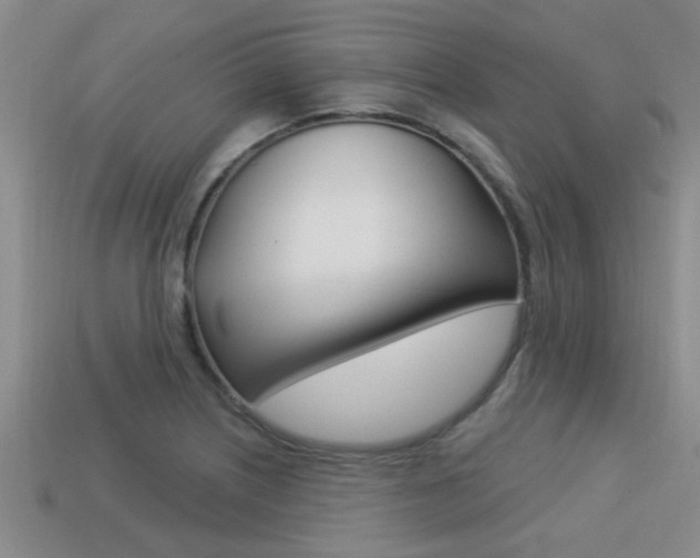 X0000113301226200909140938