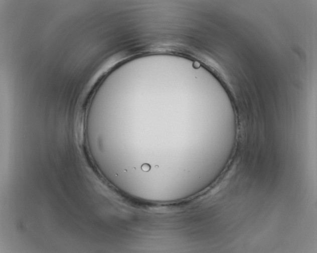 X0000113301227200909140938