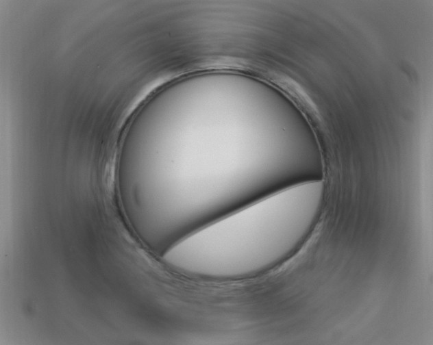 X0000113301228200909140938