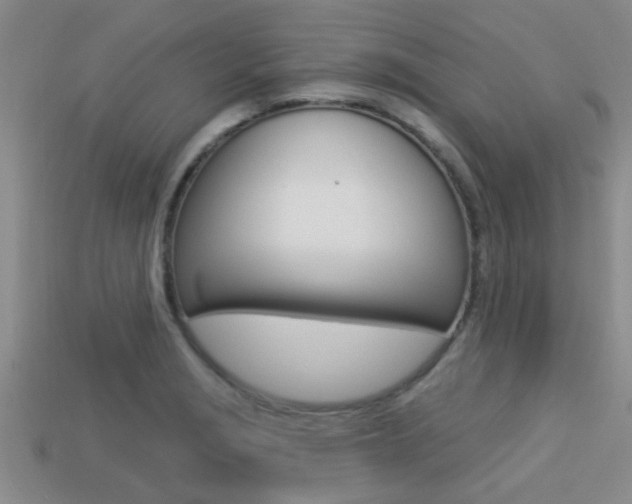 X0000113301229200909140938