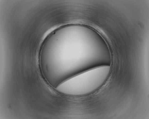 X0000113301230200909140938