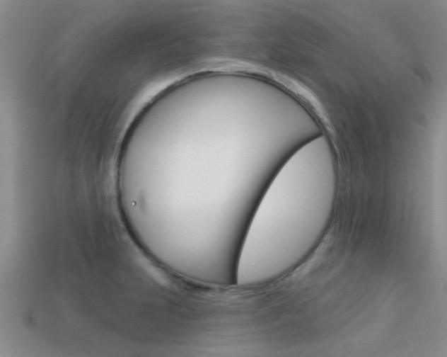 X0000113301231200909140938