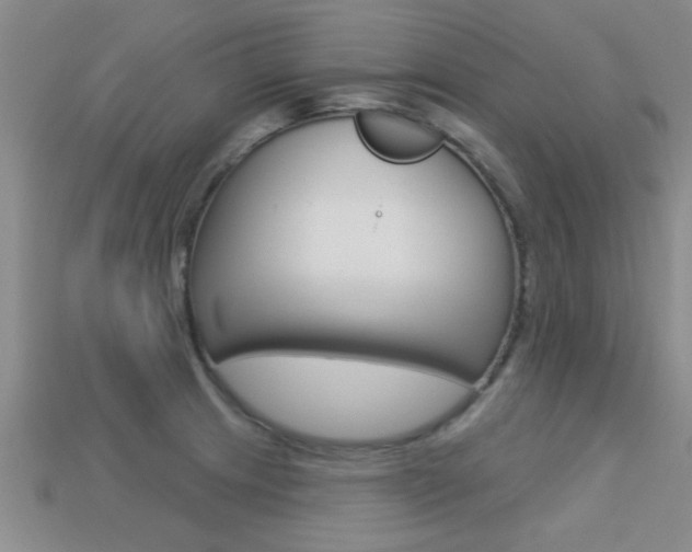 X0000113301233200909140939