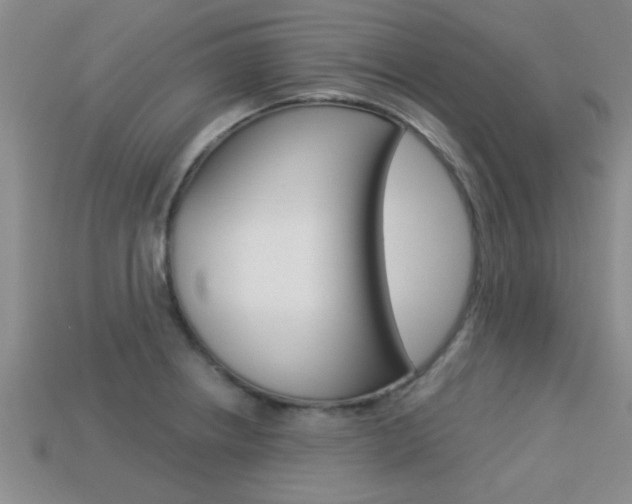 X0000113301234200909140939