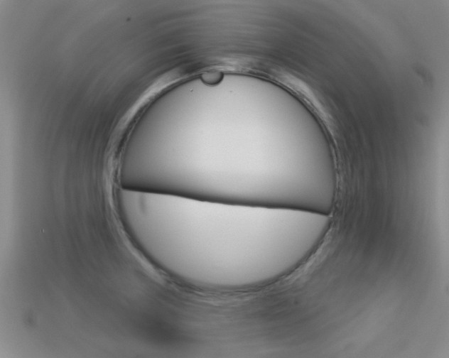 X0000113301235200909140939