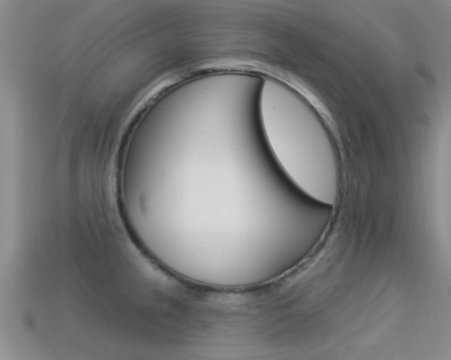 X0000113301237200909140939