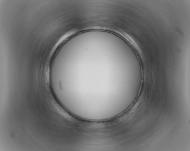 X0000113301238200909140939