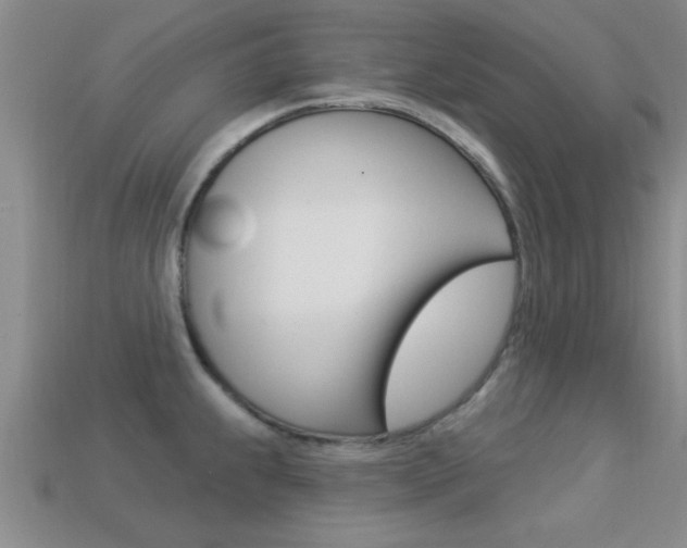 X0000113301239200909140939