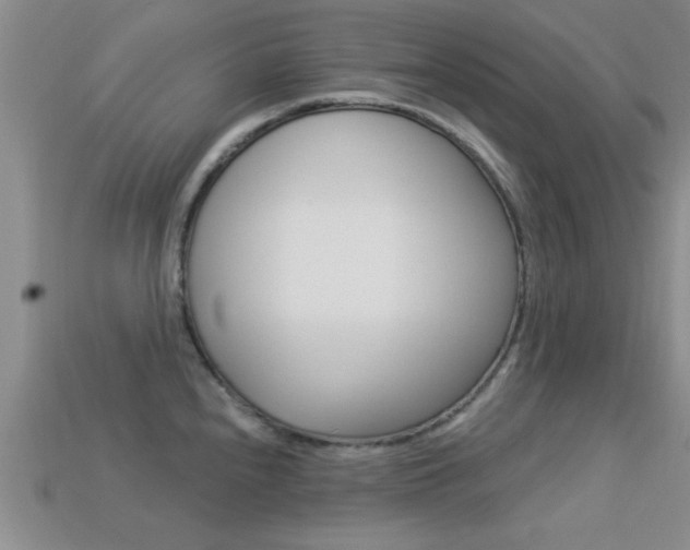 X0000113301240200909140939