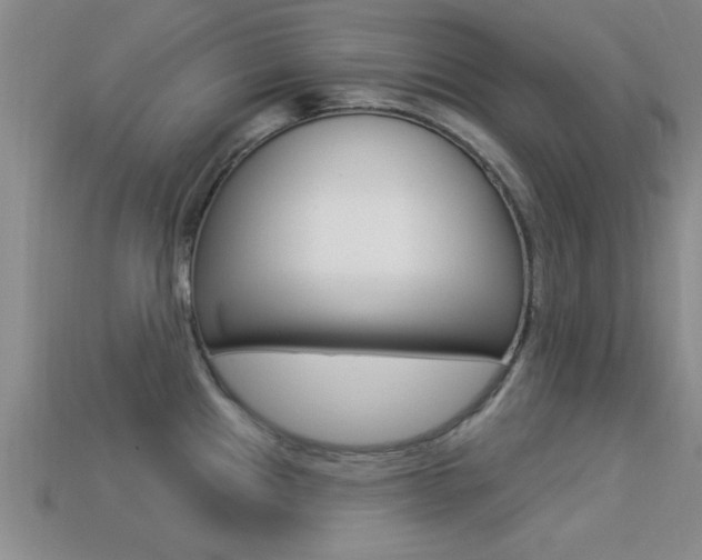 X0000113301241200909140939