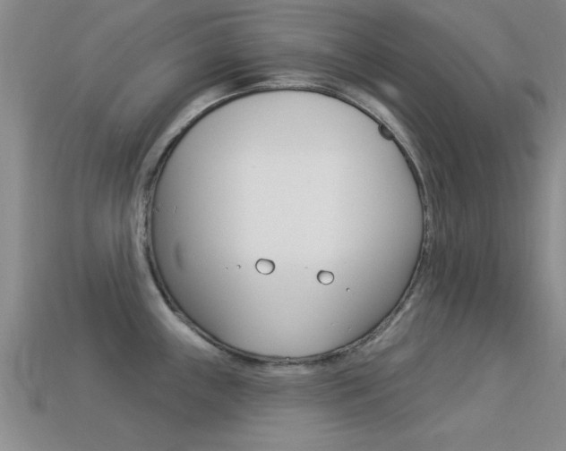 X0000113301243200909140939