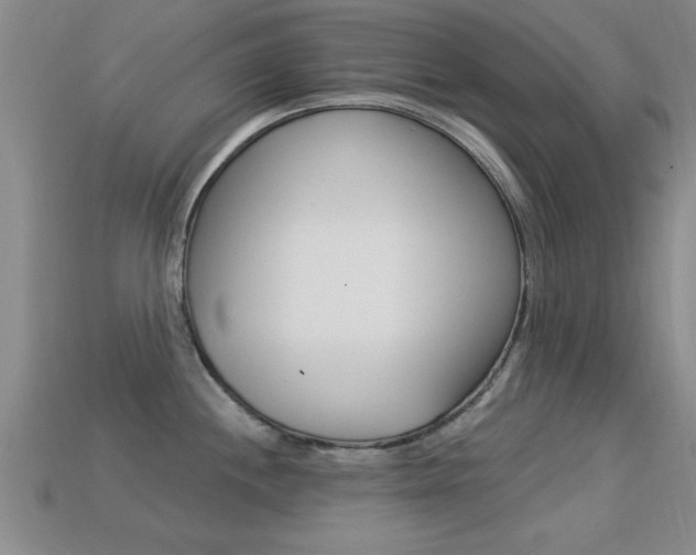 X0000113301244200909140939