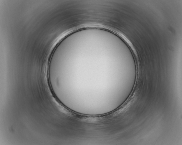X0000113301245200909140939