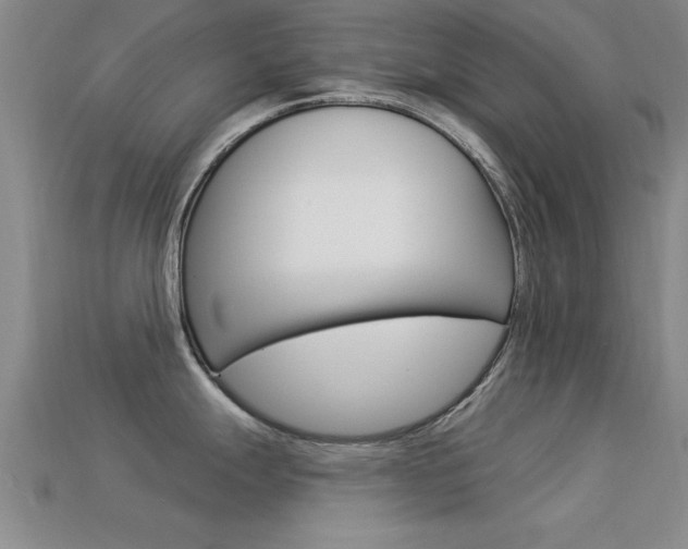 X0000113301247200909140939