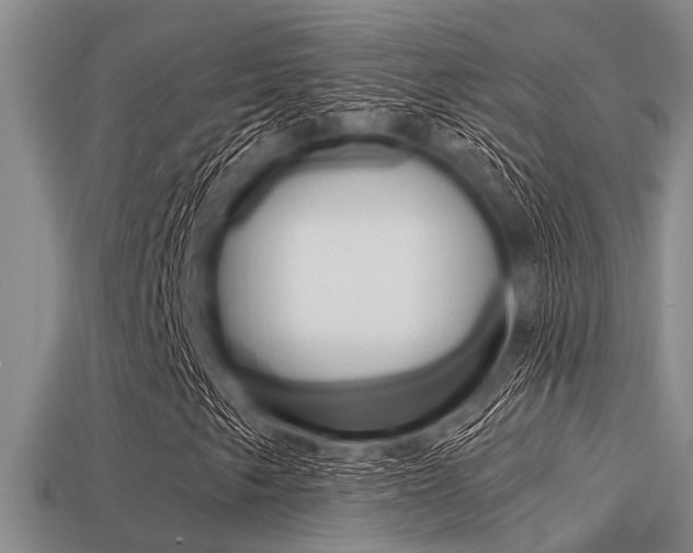 X0000113301249200909140938