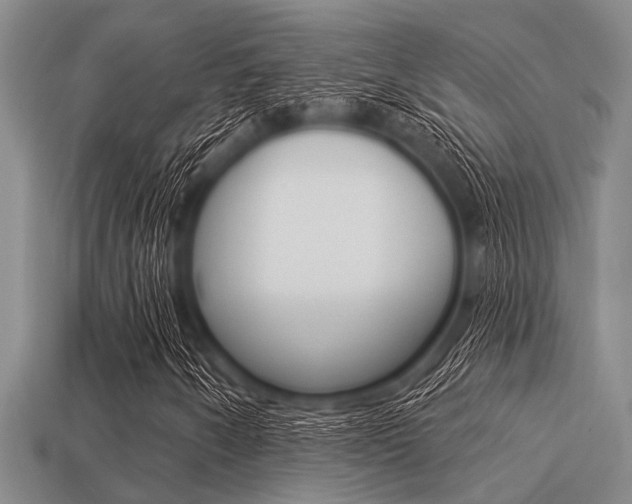 X0000113301250200909140938
