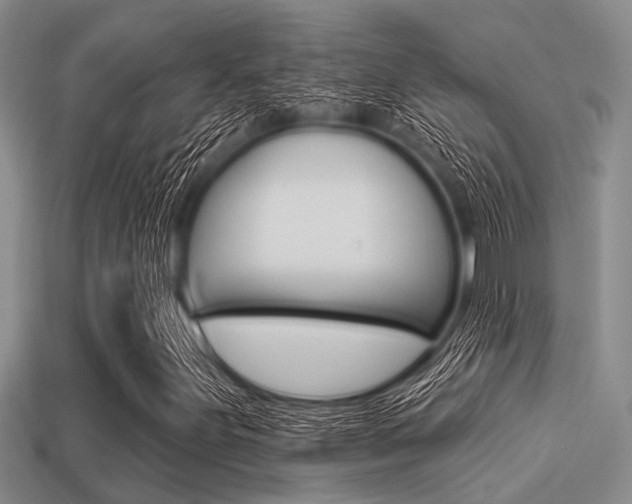 X0000113301251200909140938