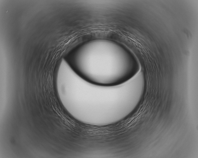 X0000113301252200909140938