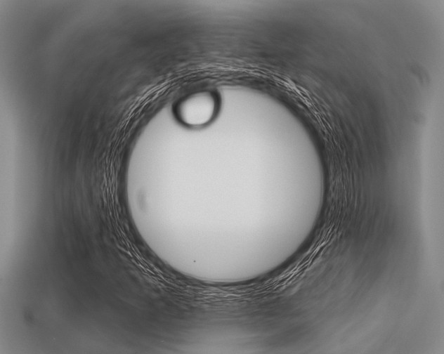 X0000113301253200909140938