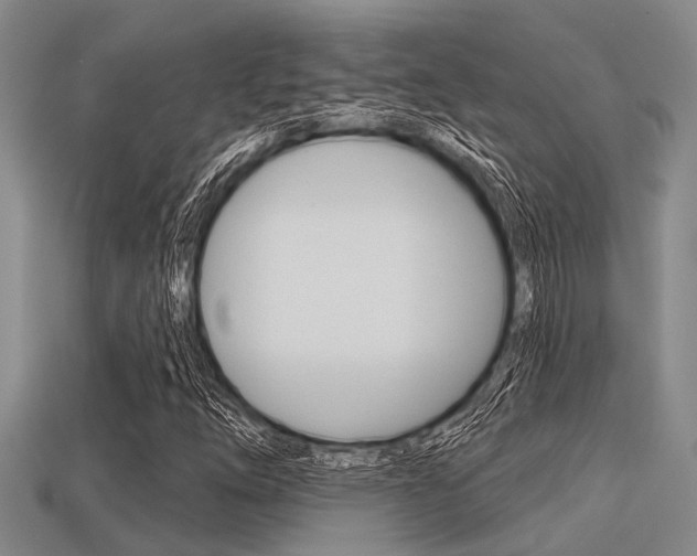 X0000113301254200909140938