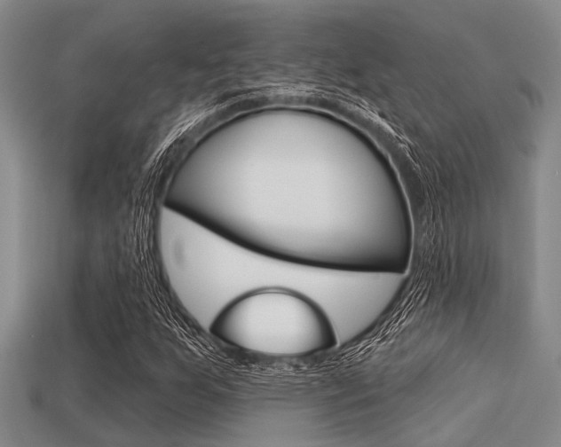 X0000113301255200909140938
