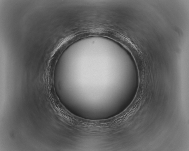 X0000113301256200909140938