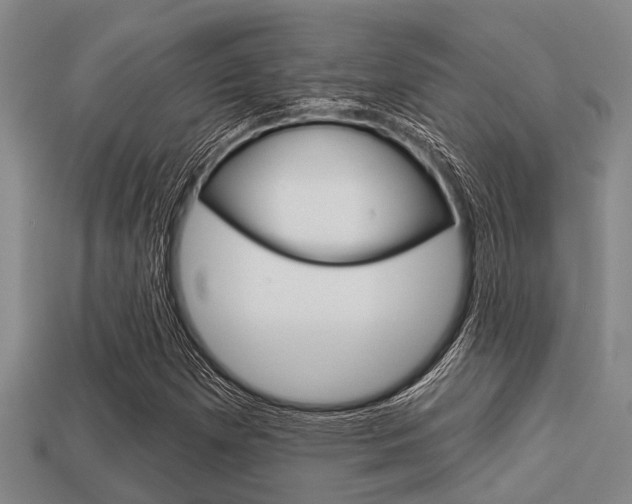 X0000113301257200909140938