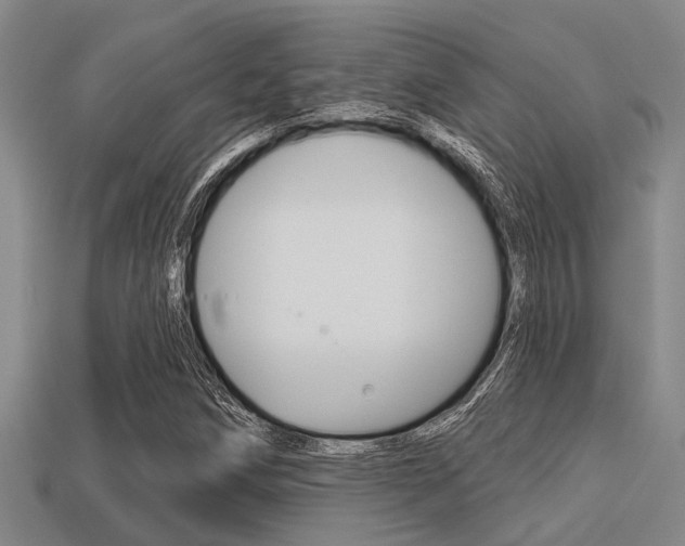 X0000113301258200909140938