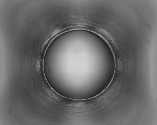 X0000113301260200909140938