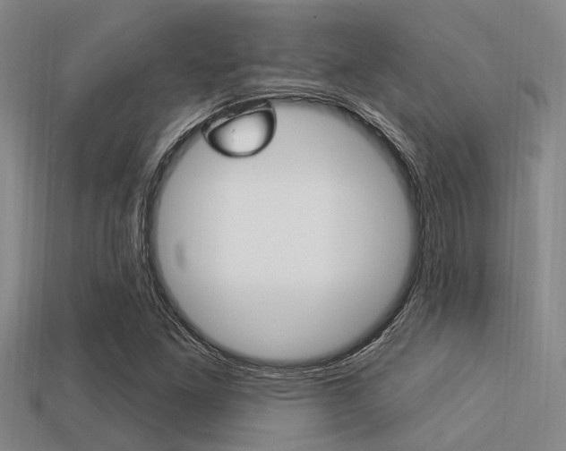 X0000113301261200909140938