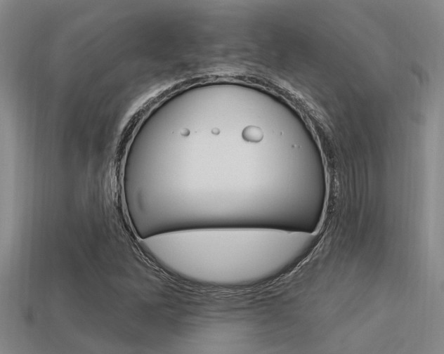 X0000113301262200909140938