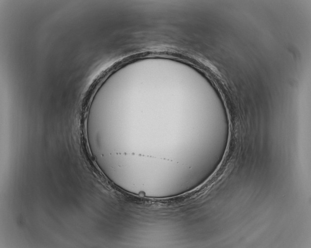 X0000113301263200909140938