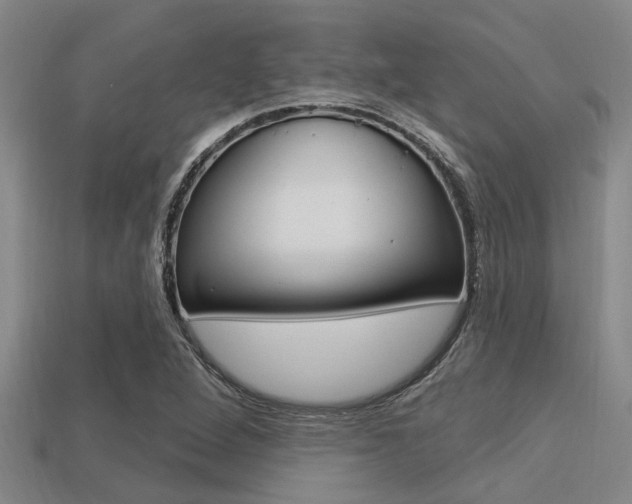 X0000113301264200909140938