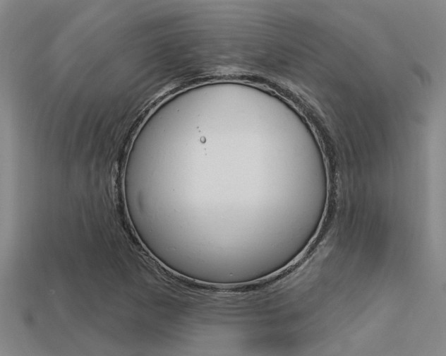 X0000113301265200909140938