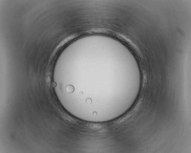 X0000113301266200909140938