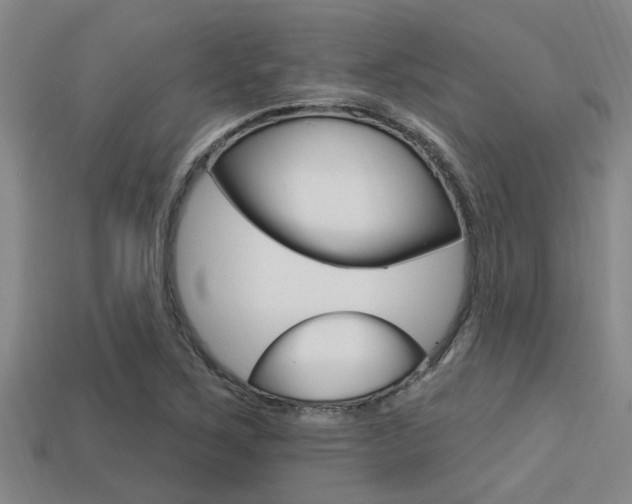 X0000113301267200909140938