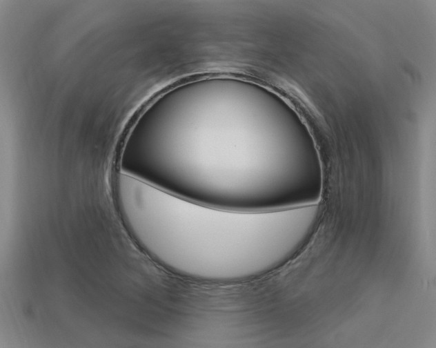 X0000113301268200909140938