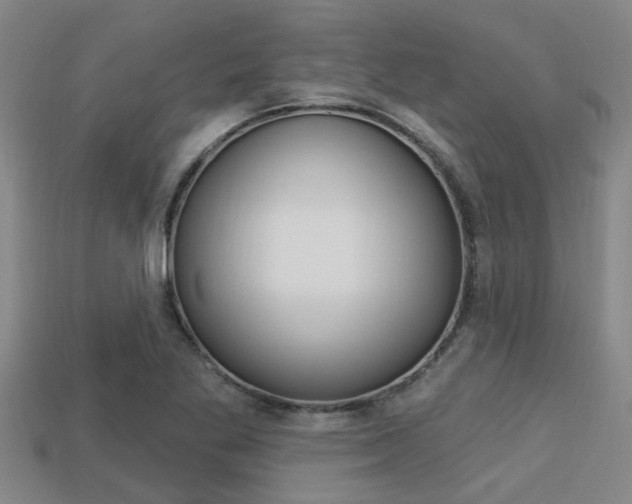 X0000113301269200909140938