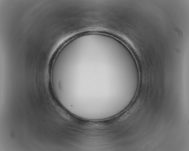 X0000113301270200909140938