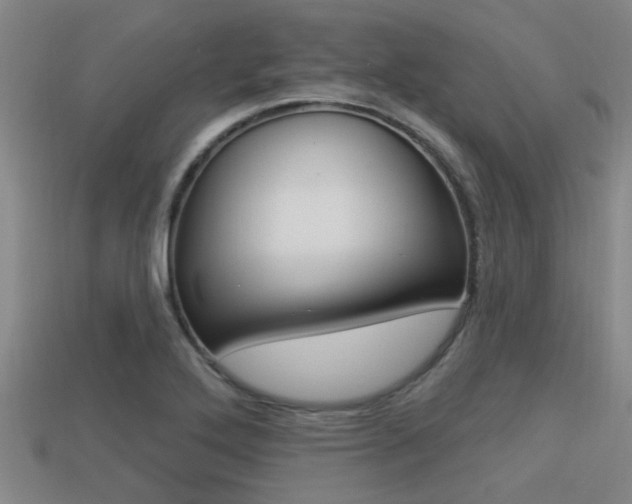 X0000113301272200909140938