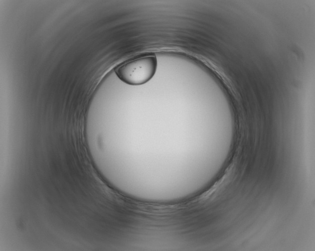 X0000113301273200909140938