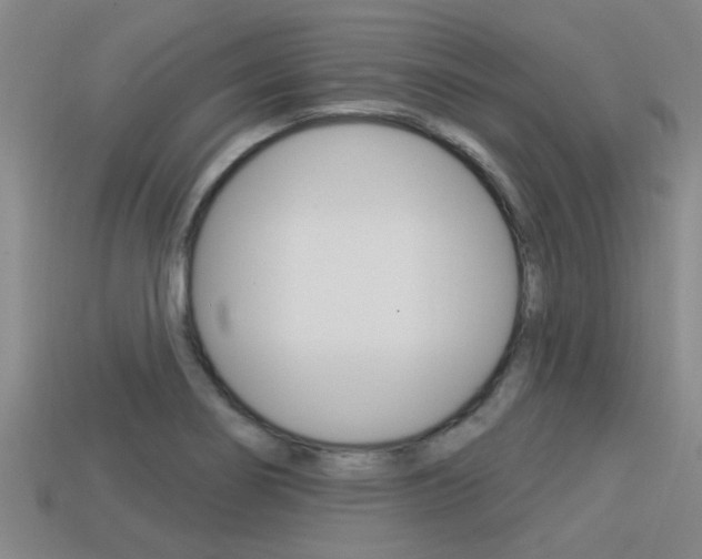 X0000113301274200909140938