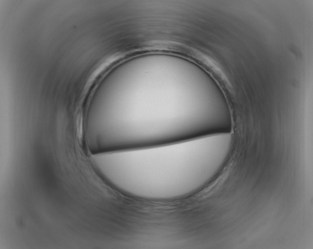 X0000113301275200909140938