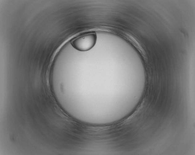 X0000113301276200909140938