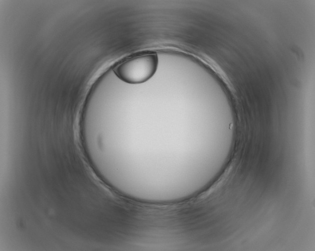 X0000113301277200909140938