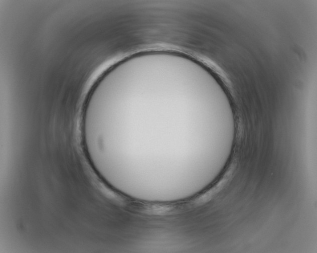 X0000113301278200909140938