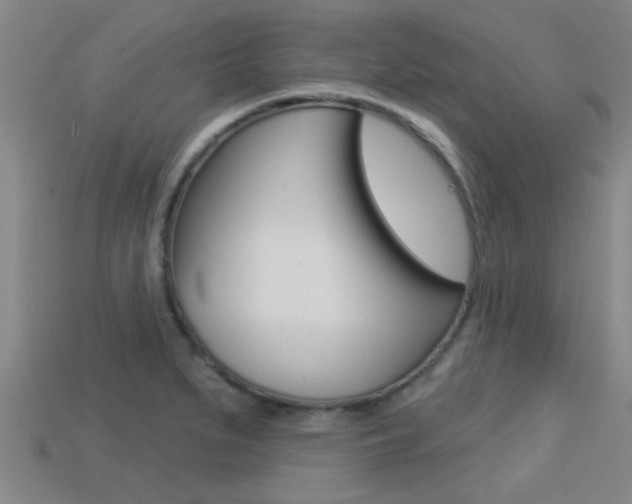 X0000113301279200909140938